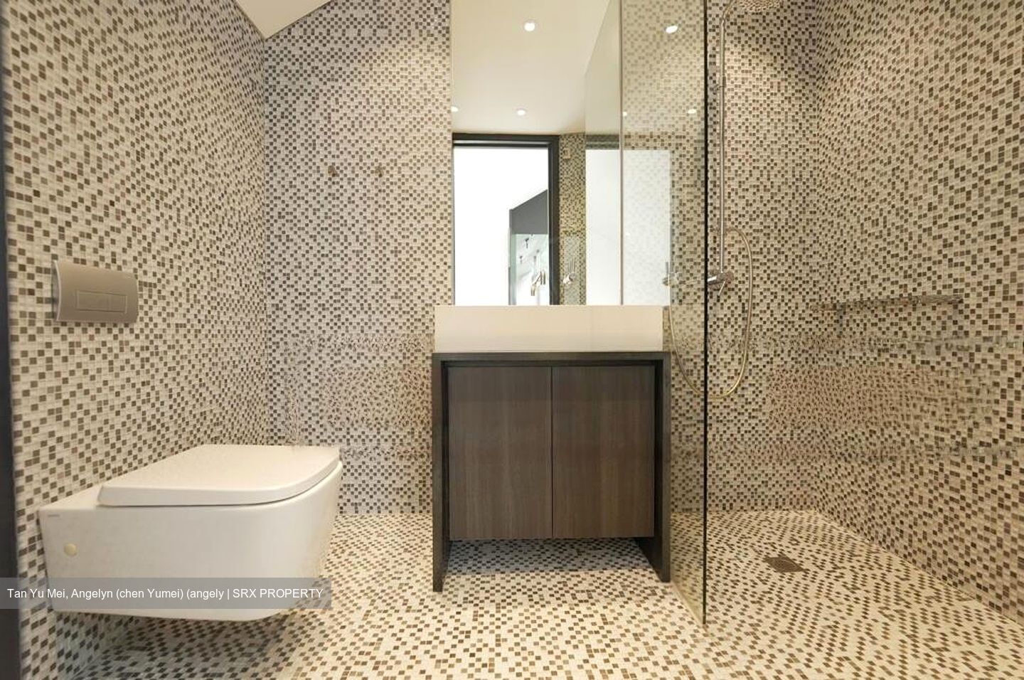 Cove Drive (D4), Terrace #456509801